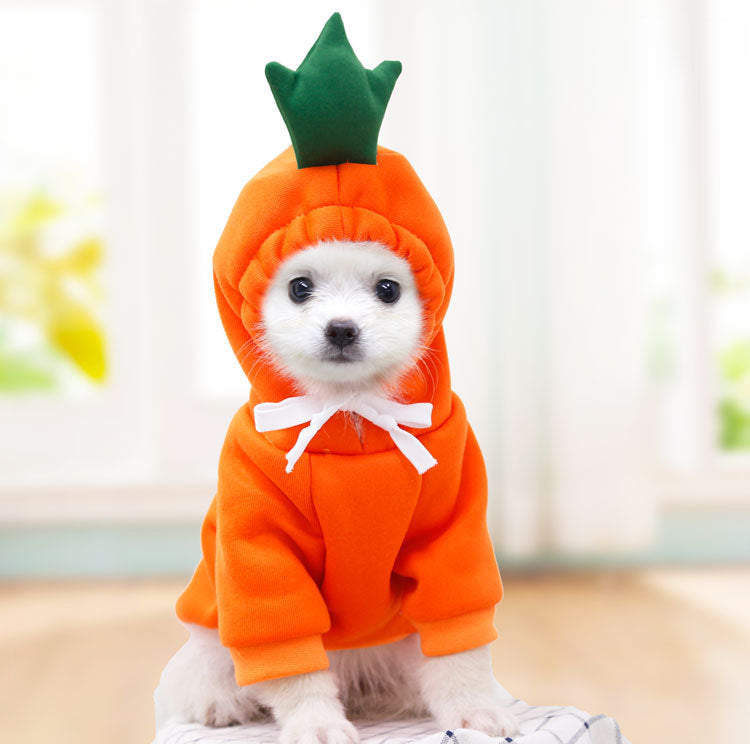 Cute Cozy Pet Hoodie