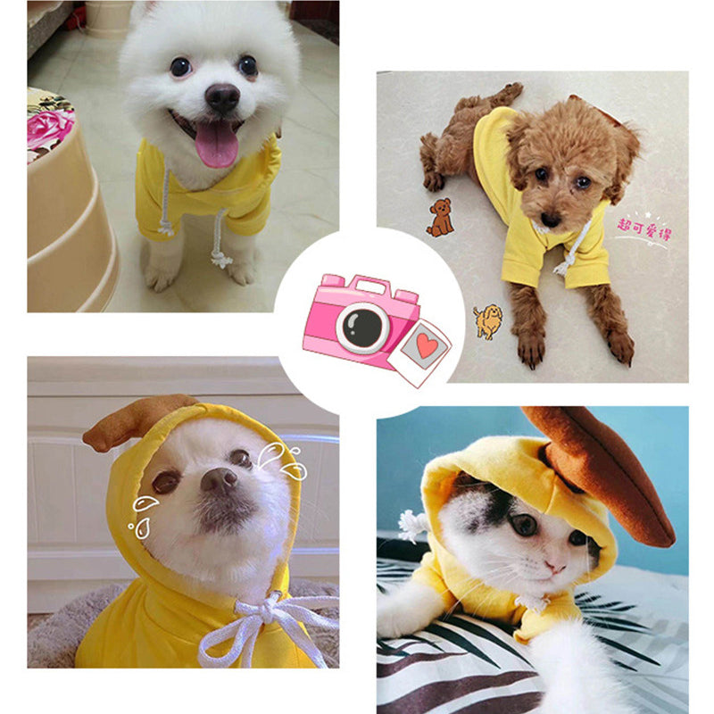 Cute Cozy Pet Hoodie