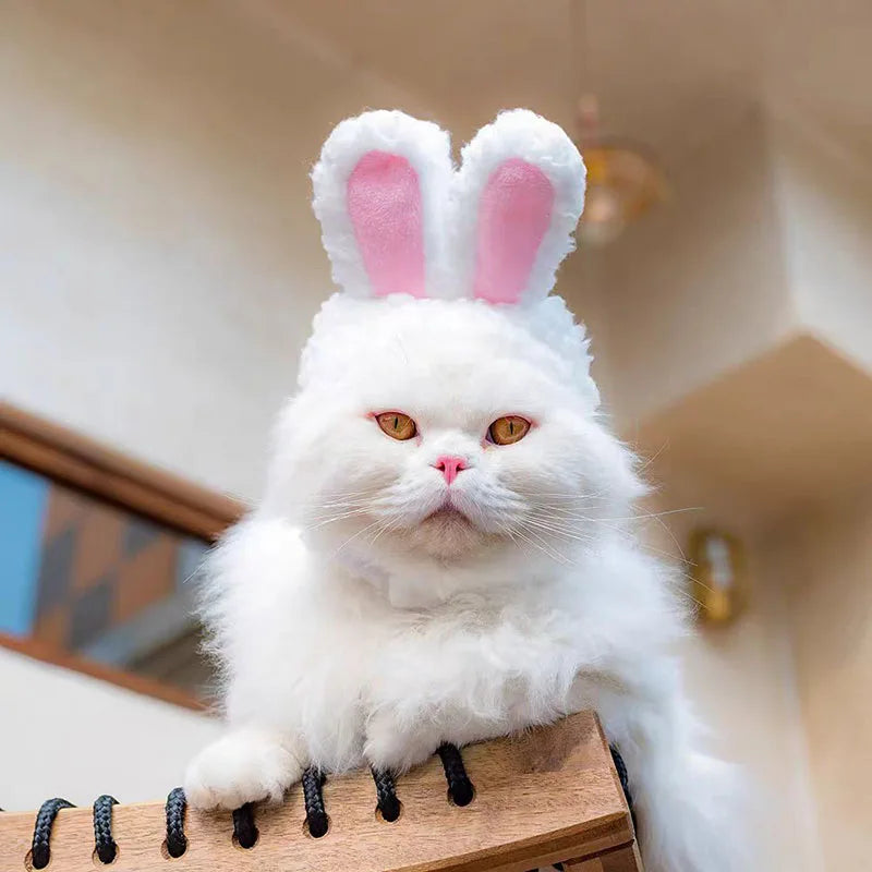 Cozy Animal Hood for Cats & Small Dogs