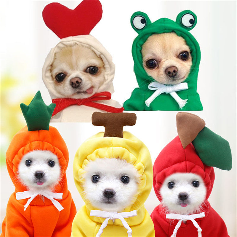 Cute Cozy Pet Hoodie