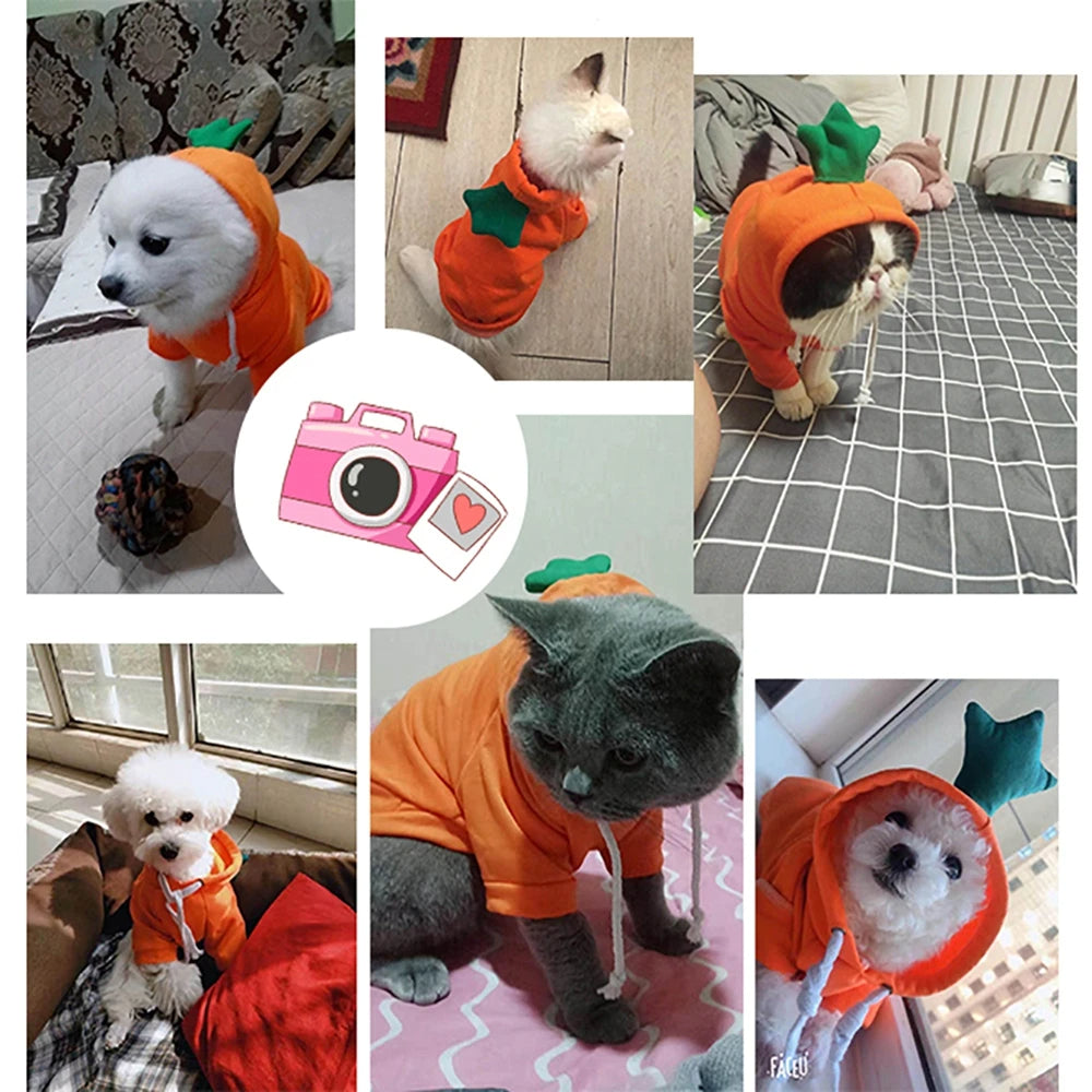 Cute Pet Hoodie – Soft & Cozy Outfit for Dogs & Cats