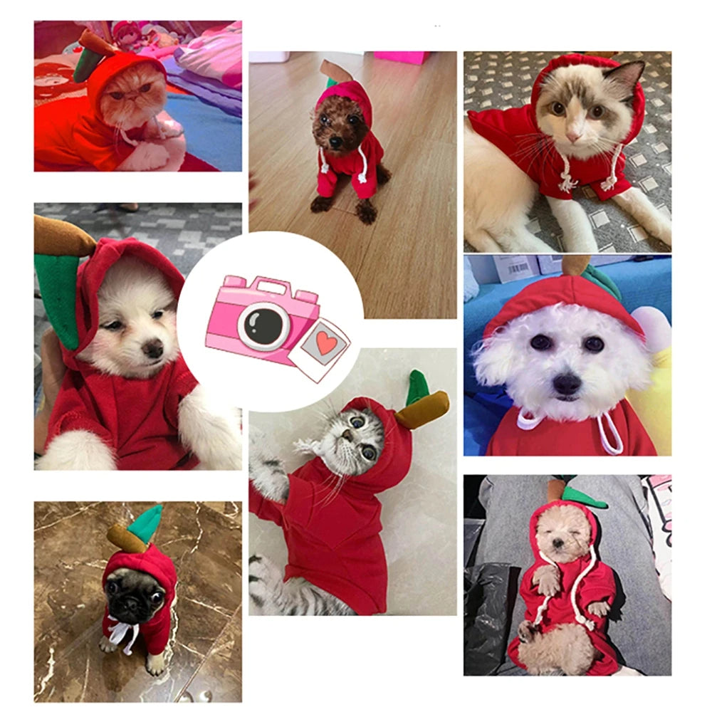 Cute Pet Hoodie – Soft & Cozy Outfit for Dogs & Cats